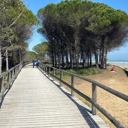 With Garden In A Quiet Place 500m From The Sea *